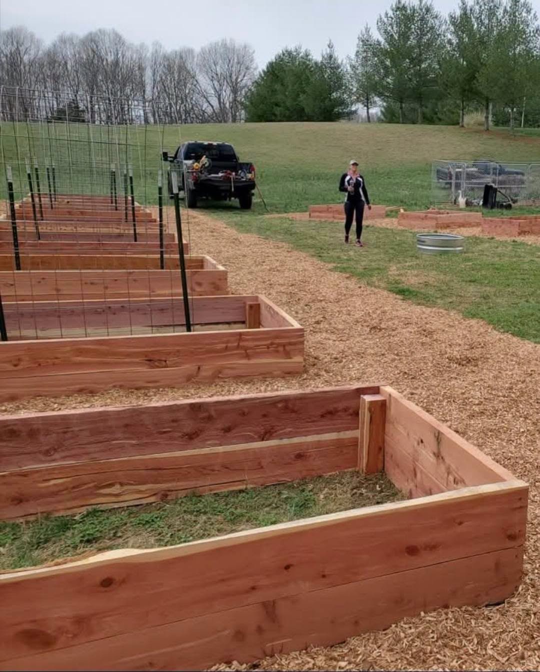 Garden Box