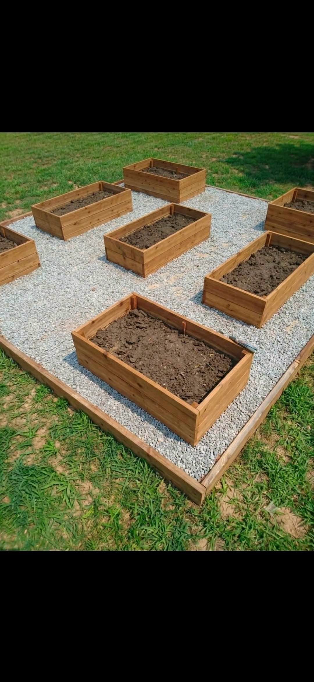 Garden Box